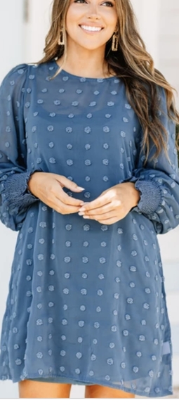 Solution You're Mine Blue Swiss Dot Dress - Picture 1 of 8